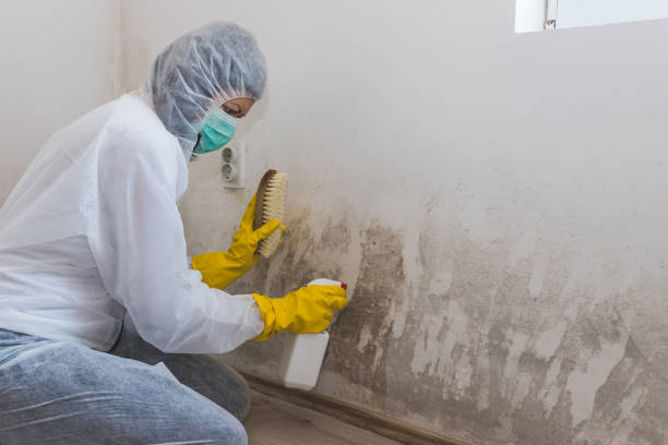 Best HVAC Mold Inspection and Cleaning  in Dakota Dunes, SD